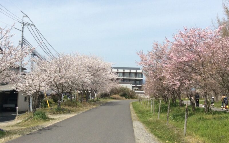 <br />
<b>Notice</b>:  Undefined variable: alt in <b>/home/eizankai/soseien.jp/public_html/wpadm/wp-content/themes/soseien/module_main_img.php</b> on line <b>9</b><br />
